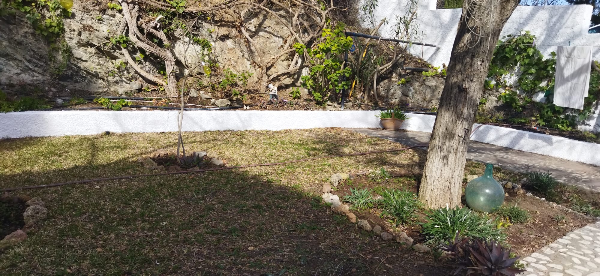 foto casa rural Los Mastranzos jardin planta superior